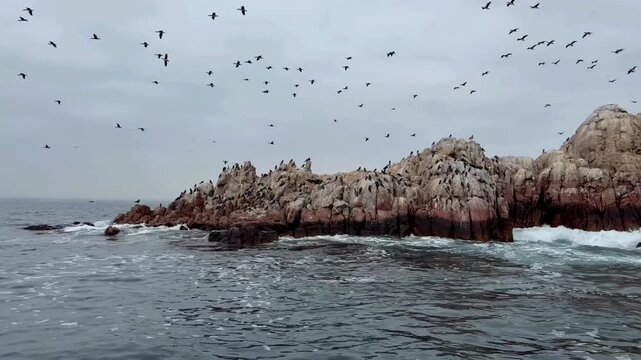 Thousands of Seabirds Flying Over Rocky Ballestas Islands off the Coast of Paracas, Peru