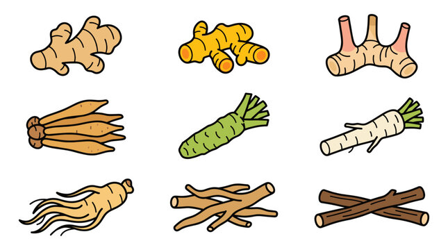 Ginger turmeric and ginseng roots icon set
