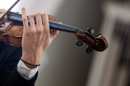 musician playing the violin