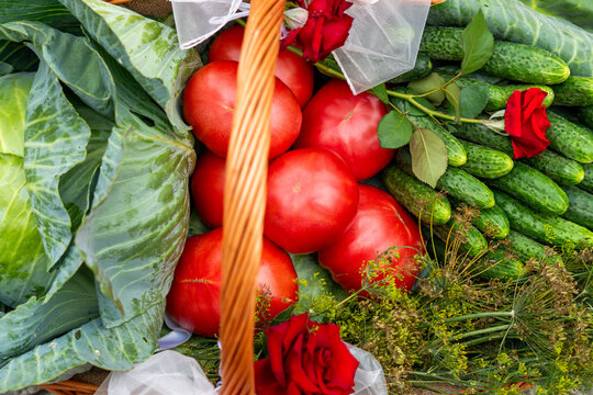 Top-down view of a woven wicker basket filled with fresh red tomatoes, green cucumbers, cabbage leaves, and dill, decorated with red roses and white ribbon in bright daylight.