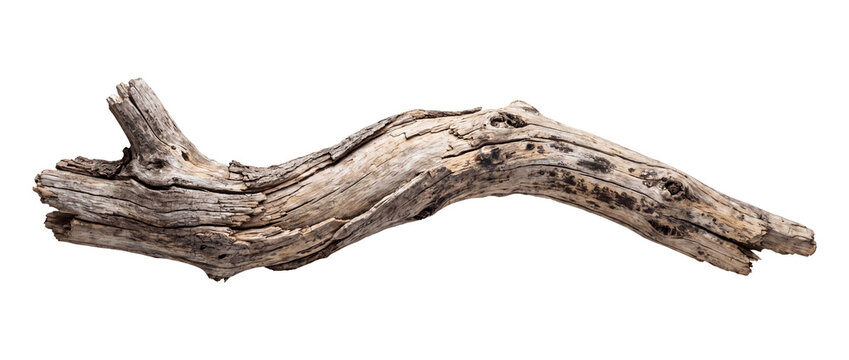 Old Weathered Driftwood Branch Isolated on Transparent Background &ndash; Dry Twisted Tree Branch, PNG Cutout