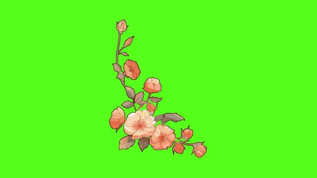 Three sets of stylized orange flower clusters arranged as corner borders on a green screen with decorations isolated against background easy compositing displays three separate drawn orange floral