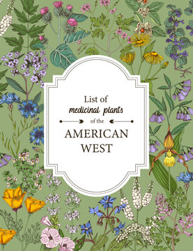 Medicinal herbs of American West vector