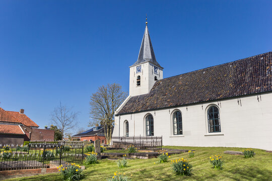 Narcissus flowers in front of the church of Vierhuizen, Netherlands