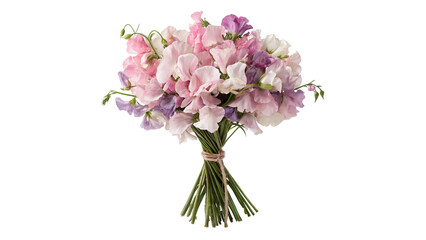 Beautiful bouquet of pink sweet pea flowers isolated on transparent background for romantic wedding anniversary greetings. © Samuel Sutton