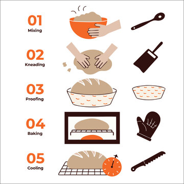 Bread baking process infographic showing five stages of dough preparation and cooking.