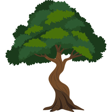 Tree Illustration