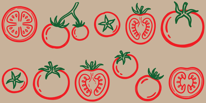 Vintage tomato line art vector set, hand drawn red tomatoes on vine and slices, rustic organic vegetable illustrations for packaging