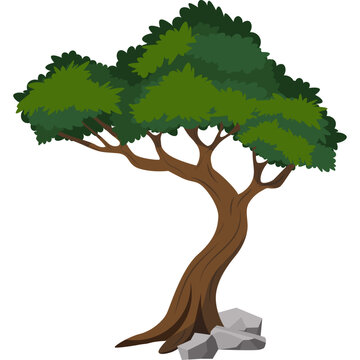 Tree Illustration