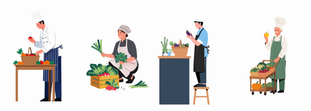 Set of flat illustrations featuring professional chefs selecting and preparing fresh, organic vegetables for cooking in a restaurant or kitchen setting.