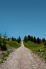 Naklejka premium Mountain Hiking Trail Through Green Alpine Meadow