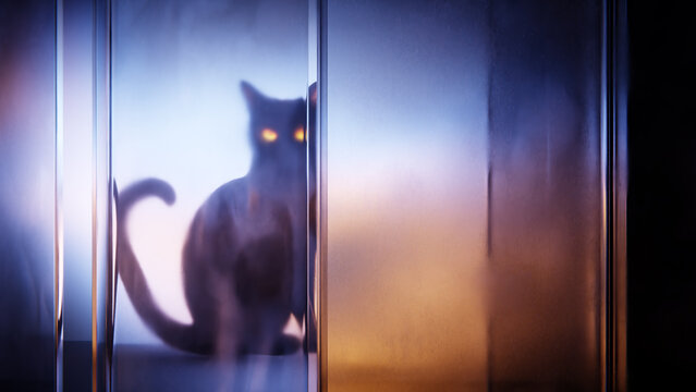 Halloween black cat with glowing eyes behind translucent glass panels.