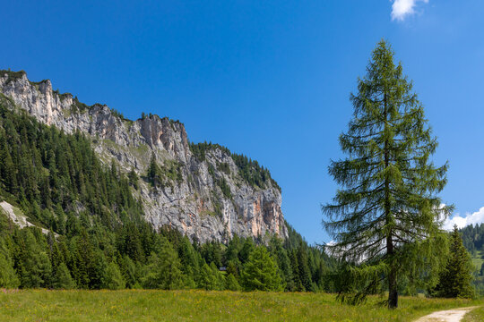 Blick &uuml;ber die Wurzeralm auf die Rote Wand, &Ouml;sterreich