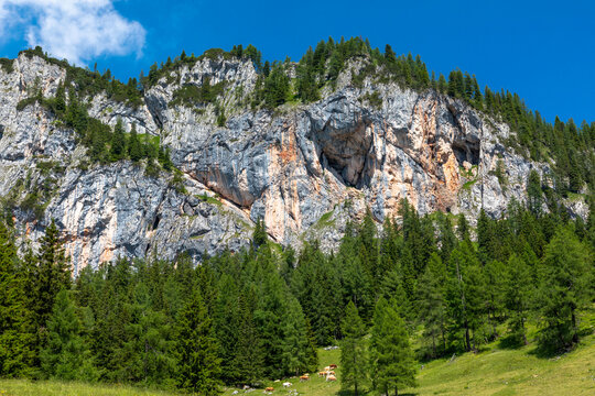 Blick &uuml;ber die Wurzeralm auf die Rote Wand, &Ouml;sterreich