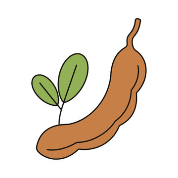 Minimalist illustration of tamarind fruit with green leaves with minimalist design smooth gradients clean outlines rendered flat minimalist with depicts simple stylized