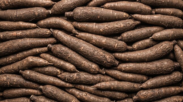Close-up overhead view of fresh cassava roots arranged tightly in a pattern, ideal for food packaging, agricultural marketing, and grocery store website banners