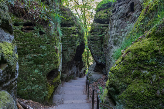 A stone stair descends through a narrow ravine in Saxon Switzerland