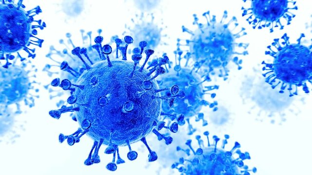 3D animation of blue coronavirus virions floating against a bright white background virus microorganism infection pathogen disease