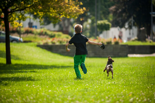 Boy running with his dog on a meadow