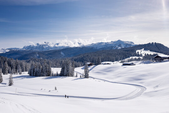 Germany, Reit im Winkl, snow-covered Winklmoosalm with Loferer Steinberge and Steinplatte in the background