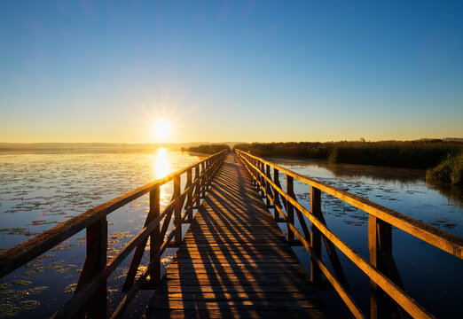 Germany, Baden-Wuerttemberg, Swabia, Upper Swabia, Bad Buchau, Lake Feder, wooden boardwalk in the morning