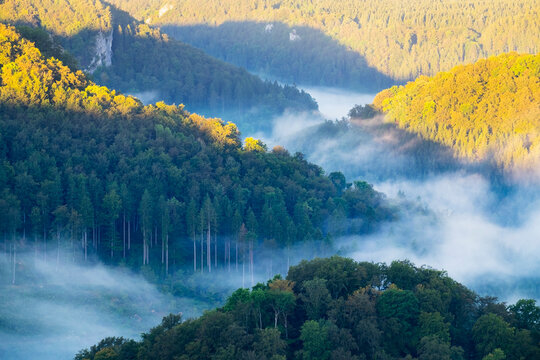Germany, Baden-Wuerttemberg, morning fog above Danube River near Beuron