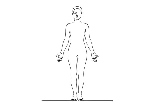 Continuous line art female silhouette in mountain pose for grounding