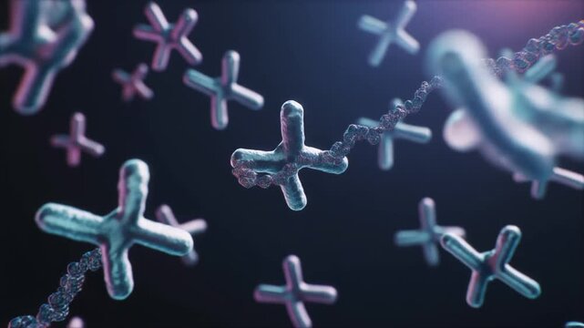 X-Shaped Chromosome Unwinding into a DNA Strand, Genetics Concept