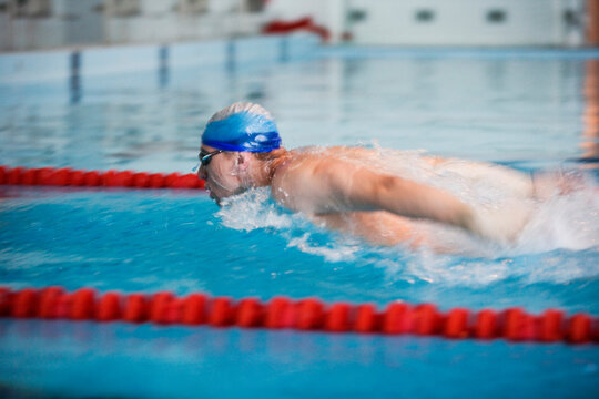 Swimmer dolphin butterfly stroking