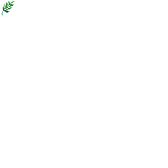 Fototapeta premium Fern Plant Icon Design