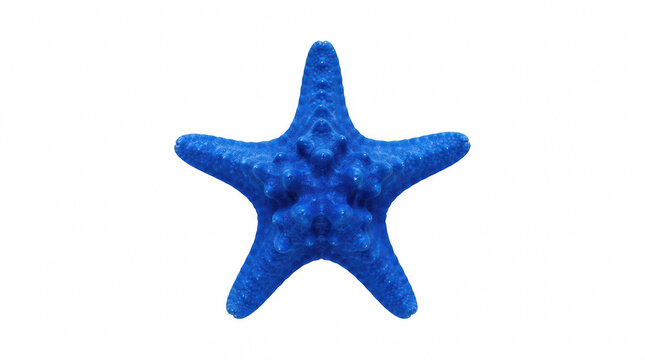 Vibrant blue starfish isolated on a clean white background with studio lighting