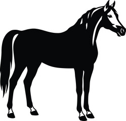 Obraz premium Minimalist horse silhouette vector, elegant black stallion standing profile, equestrian animal graphic for logo and branding