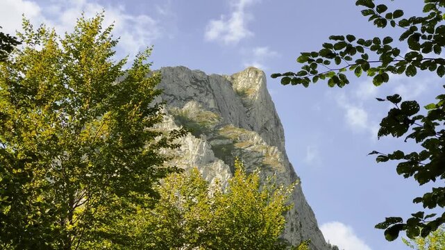 Low angle view of a majestic, steep limestone cliff framed by vibrant green tree branches and foliage against a partly cloudy blue sky in the Scarita-Belioara nature reserve, Romania