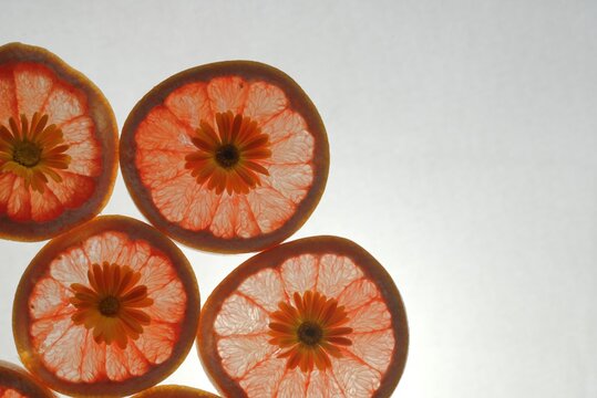 A background of backlit orange slices