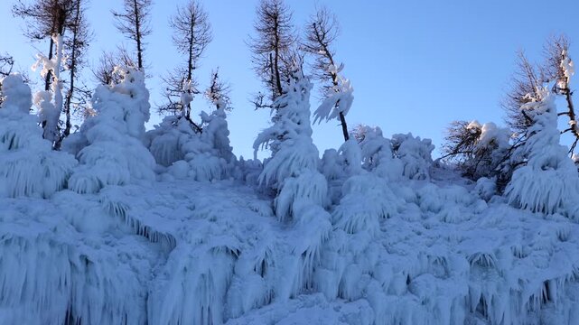View of frozen trees and ice formations along the shore of Lake Baikal in Khuzhir, Irkutsk Oblast, Russia.