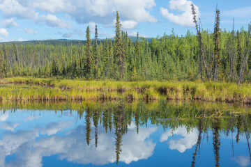 Naklejka premium Lake in tundra