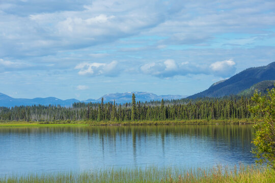 Lake in tundra