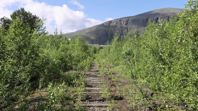 View of abandoned railway tracks overgrown with birch trees and shrubs leading towards the Khibiny Mountains in Kirovsk, Murmansk Oblast, Russia.