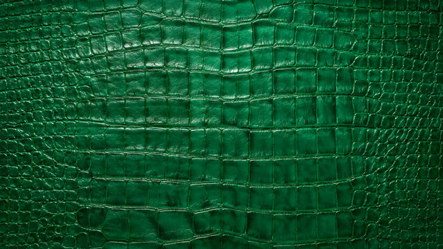 Deep green alligator skin texture with a glossy finish and detailed scales