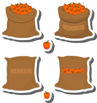 Big vegetable set from tasty pepper in large textured sacks