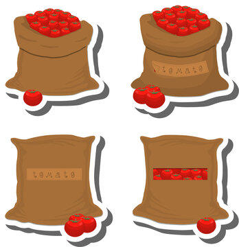 Big vegetable set from tasty tomato in large textured sacks