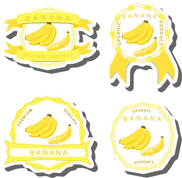Fruit theme from set juicy delicious banana of various sizes