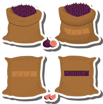 Big fruit set from tasty fig in large textured sacks