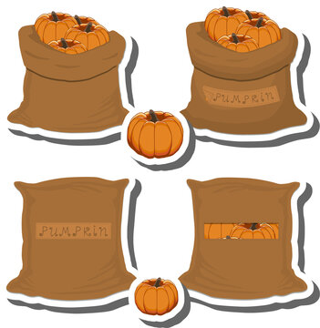 Big vegetable set from tasty pumpkin in large textured sacks