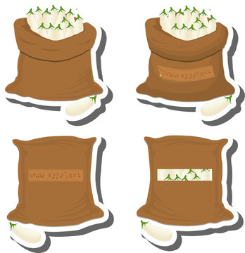 Big vegetable set from tasty eggplant in large textured sacks