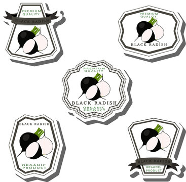 Set tasty natural eco product vegetable radish
