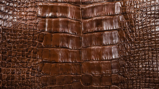Rich brown alligator skin texture with a glossy finish and intricate scale patterns