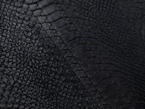 Close-up texture of black python snakeskin with detailed scales and natural pattern