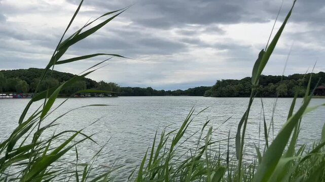 4K Suzhou Wetland Park Lake View