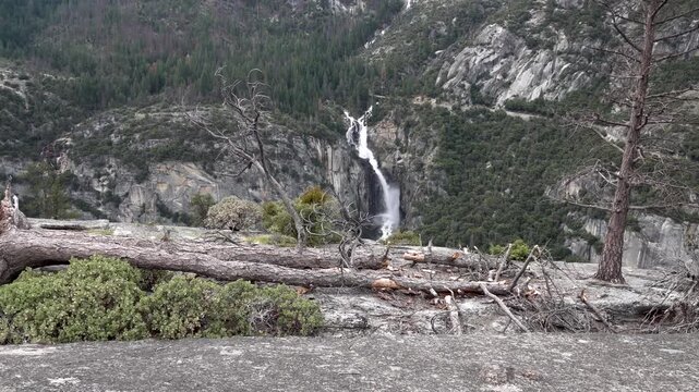 Majestic waterfall cascading down rocky cliffs surrounded by lush green forest, dead trees in foreground.